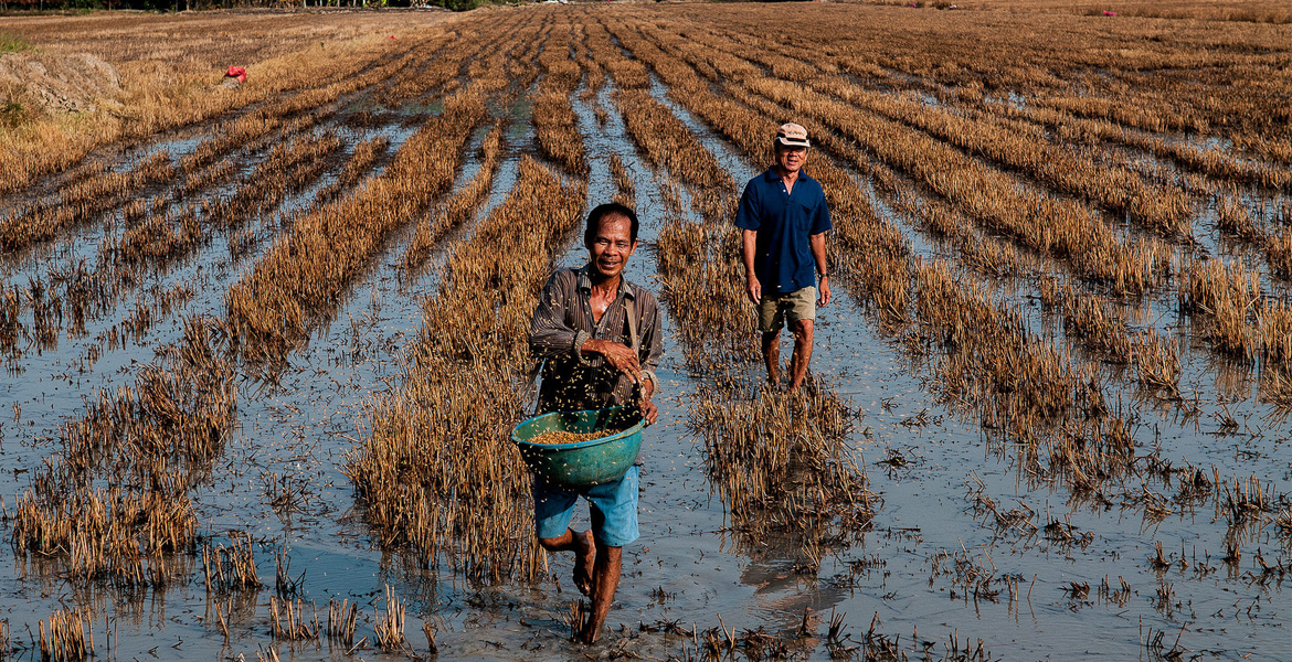 Mekong Delta Day Trip